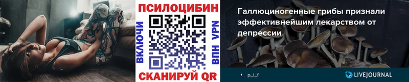 маркетплейс какой сайт  Элиста  Псилоцибиновые грибы Psilocybine cubensis  купить  цена 